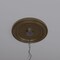 Ekena Millwork PVC Medallion (Canopies up to 9 1/2"), 16"OD x 3 1/2"ID x 1 3/8"P, Metallic Champagne Bronze CMP16TRCCB - alternate 10